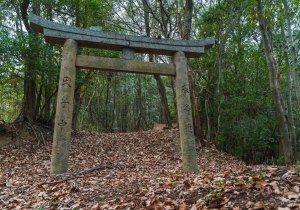 長者森・権現山7