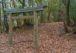 長者森・権現山8