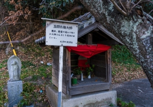 DSC06702
