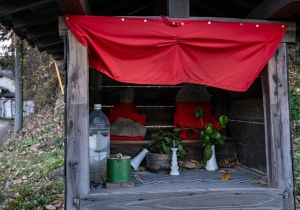 DSC06703