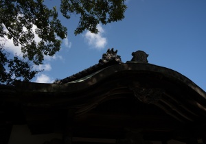 DSC09266