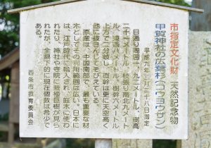 SBJ00766