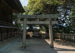 SBJ00810