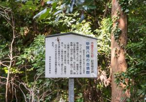 SBJ00828