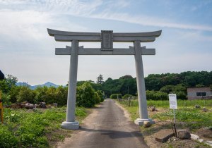 SBJ00833