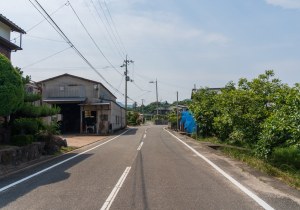 SBJ00837