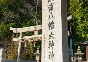SBJ06471
