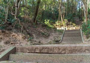 SBJ06478