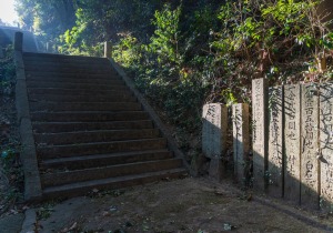 SBJ06479
