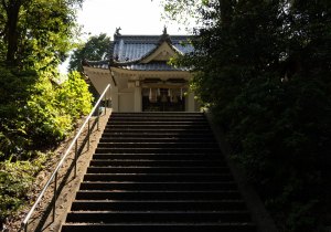 SBJ02119