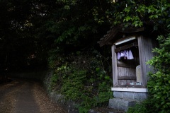 DSC02180