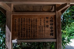 DSC08786
