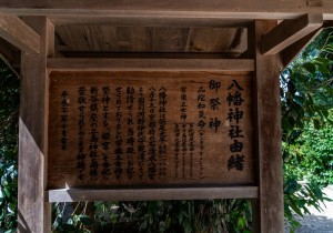 DSC08786