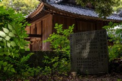 DSC08802