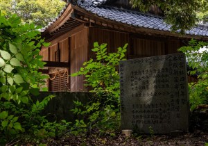 DSC08802