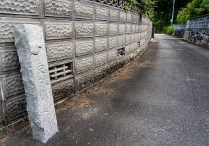 DSC08811