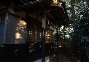 DSC06284