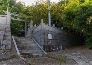 SBJ05381