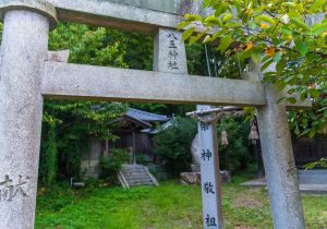 SBJ05384