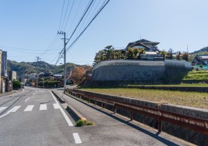 SBJ07329