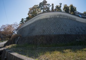 SBJ07330