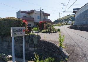 SBJ07339
