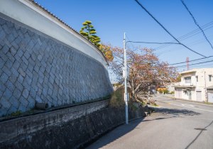 SBJ07353
