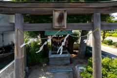 DSC05639
