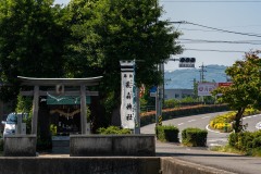 DSC05652