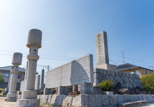 SBJ03559