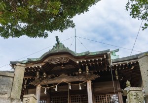 DSC01498
