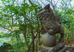 DSC01514