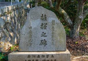 SBJ05596