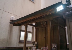SBJ07939