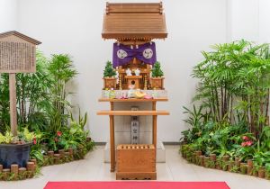 SBJ00136