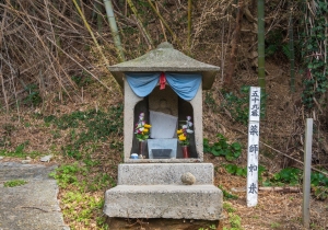 DSC01384