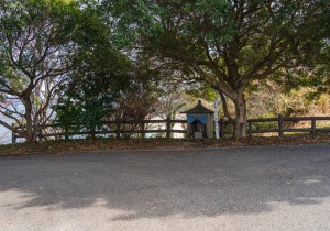 DSC01391