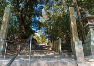 SBJ01725