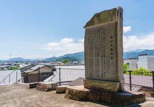 DSC04666
