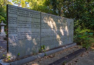 SBJ00154