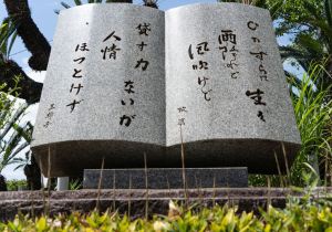 SBJ05055