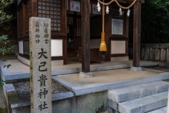 DSC04234