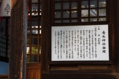 DSC04249
