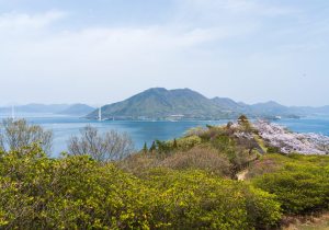 SBJ06724