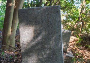 SBJ00135