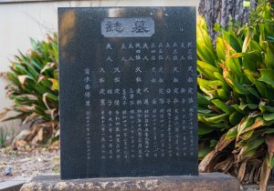 SBJ08303
