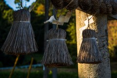 DSC00773