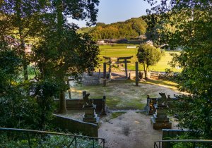 DSC00785-Enhanced-NR