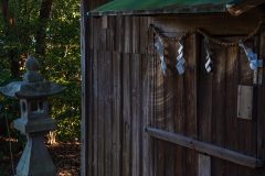 DSC00819