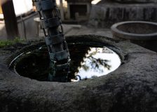 DSC09661